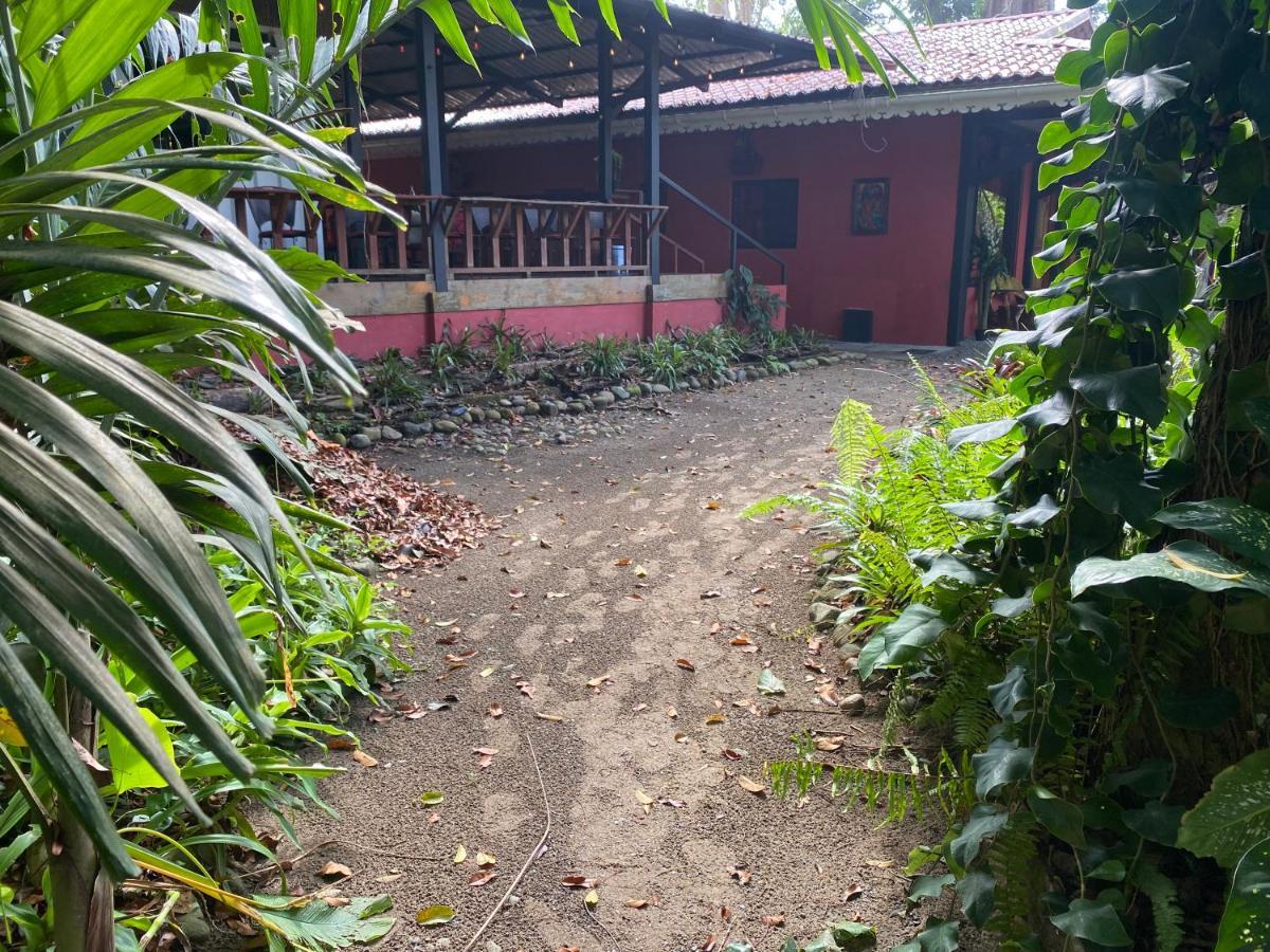 Hotel Casa Vito Beachfront Puerto Viejo de Talamanca Exterior foto